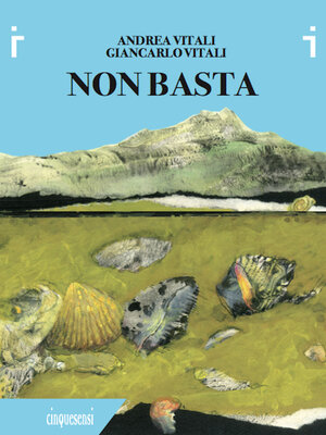 cover image of Non Basta